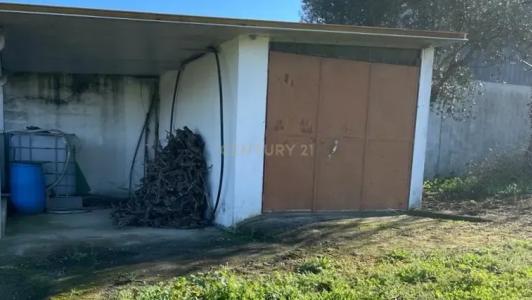 Abrantes, 圣塔伦 2300-179, 葡萄牙