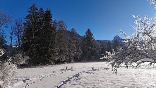 Montriond, Rhône-Alpes 74110, 法国