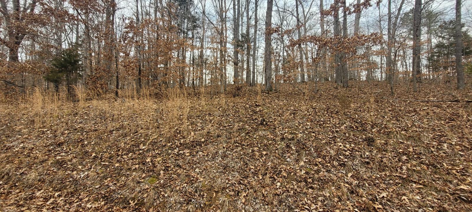 1 Lakeshore Cir, Bumpus Mills, Tennessee 37028, Stati Uniti