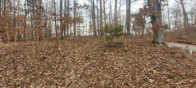 1 Lakeshore Cir, Bumpus Mills, Tennessee 37028, Stati Uniti