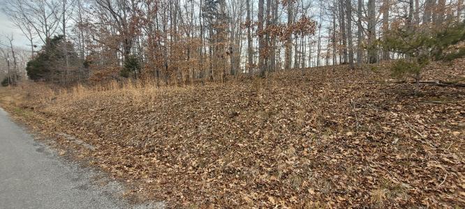 1 Lakeshore Cir, Bumpus Mills, Tennessee 37028, Stati Uniti