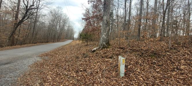 1 Lakeshore Cir, Bumpus Mills, Tennessee 37028, Stati Uniti