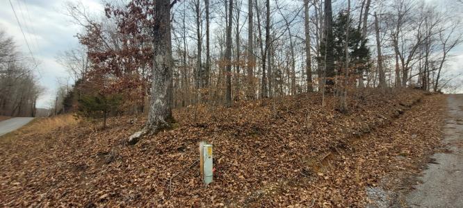 1 Lakeshore Cir, Bumpus Mills, Tennessee 37028, Stati Uniti