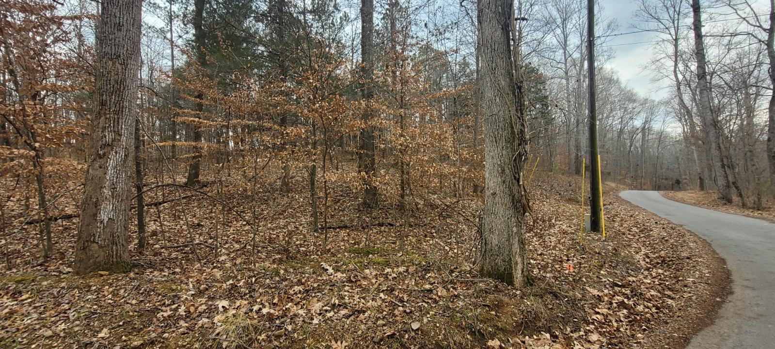 1 Tobaccoport Circle, Bumpus Mills, טנסי 37028, ארצות הברית של אמריקה