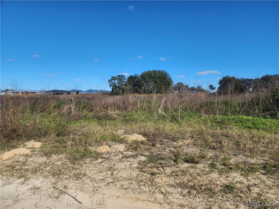 83 N Buchannon Terrace, Inverness, Florida 34450
