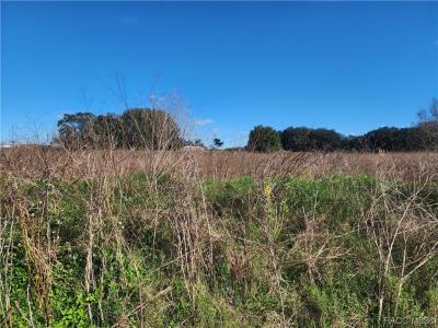 83 N Buchannon Terrace, Inverness, Florida 34450
