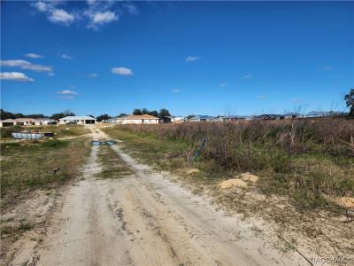 83 N Buchannon Terrace, Inverness, Florida 34450
