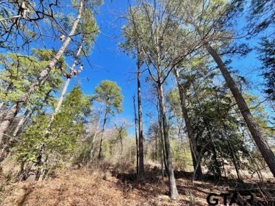 Lot 10 CR 3545, Hawkins, Texas 75765