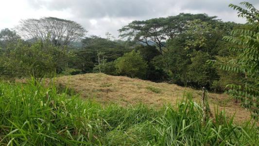 Quebrada Amarilla Jacó Garabito, Puntarenas 00001, Costa Rica