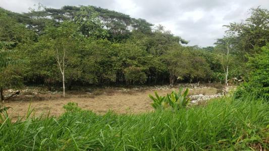 Quebrada Amarilla Jacó Garabito, Puntarenas 00001, Costa Rica