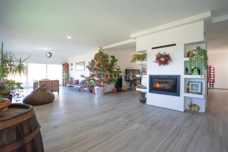 Lousã, Coimbra 3200-317, Portugal