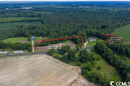TBD Long Branch Swamp Rd., Green Sea, サウスカロライナ 29545, アメリカ合衆国