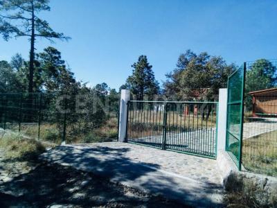 Fraccionamiento La Quebrada S/N,, Durango, Durango 34348, Meksyk