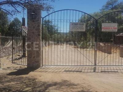 Fraccionamiento La Quebrada S/N,, Durango, Durango 34348, Messico