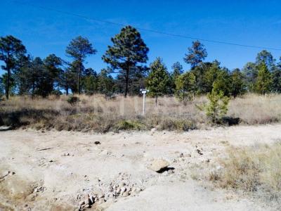 Fraccionamiento La Quebrada S/N,, Durango, Durango 34348, Messico
