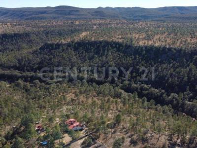 Fraccionamiento La Quebrada S/N,, Durango, Durango 34348, Messico