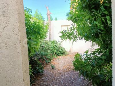 Callejon Melchor Ocampo L-7 MZA 522,, Puerto Peñasco, Sonora 83553, Mexique