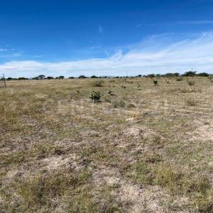 Predio Rustico El Águila Lote 10 Manzana 1,, El Llano, 阿瓜斯卡连特斯 20337, 墨西哥