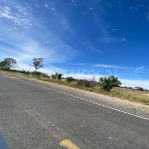 Predio Rustico El Águila Lote 12 Manzana 1,, El Llano, 阿瓜斯卡连特斯 20337, 墨西哥