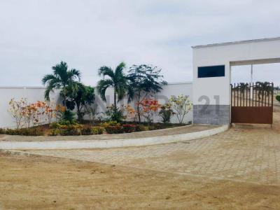 Playa San José, Urbanizacion Terrazas del Mar s/n, Montecristi, Manabí 00001, Ecuador