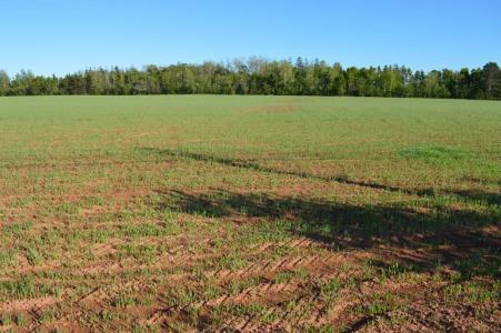 0 DICKIE ROAD, Borden-Carleton-, Prince Edward Island C0B 1M0, Canada