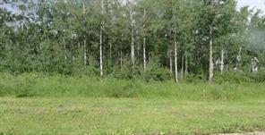 122 WOLF RUN DRIVE, Rural Ponoka County, 阿爾伯塔 T4J 1R3, 加拿大