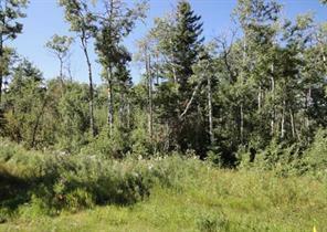 122 WOLF RUN DRIVE, Rural Ponoka County, 阿爾伯塔 T4J 1R3, 加拿大