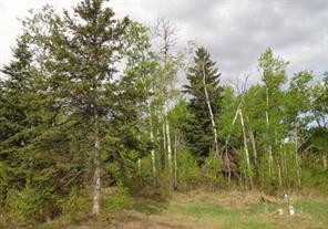 122 WOLF RUN DRIVE, Rural Ponoka County, 阿爾伯塔 T4J 1R3, 加拿大