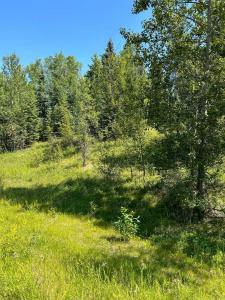 LOT R3 WESTRIDGE ROAD, Rural Woodlands County, אלברטה T7S 1P8, קנדה