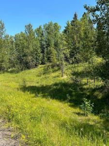 LOT R3 WESTRIDGE ROAD, Rural Woodlands County, אלברטה T7S 1P8, קנדה