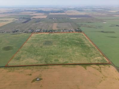 RR 281, Rural Rocky View County, 阿爾伯塔 T1Z 0C4, 加拿大