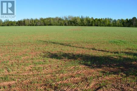 0 DICKIE ROAD, Borden-Carleton-, Prince Edward Island C0B 1M0, Canada