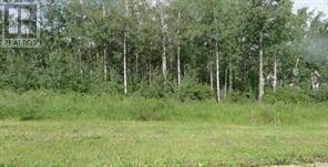 122 WOLF RUN DRIVE, Rural Ponoka County, 阿爾伯塔 T4J 1R3, 加拿大