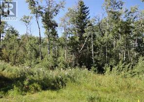 122 WOLF RUN DRIVE, Rural Ponoka County, 阿爾伯塔 T4J 1R3, 加拿大