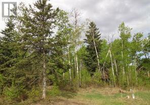 122 WOLF RUN DRIVE, Rural Ponoka County, 阿爾伯塔 T4J 1R3, 加拿大