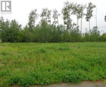 29 CHONKOLAY DRIVE, High Level, 앨버타주 T0H 1Z0, 캐나다