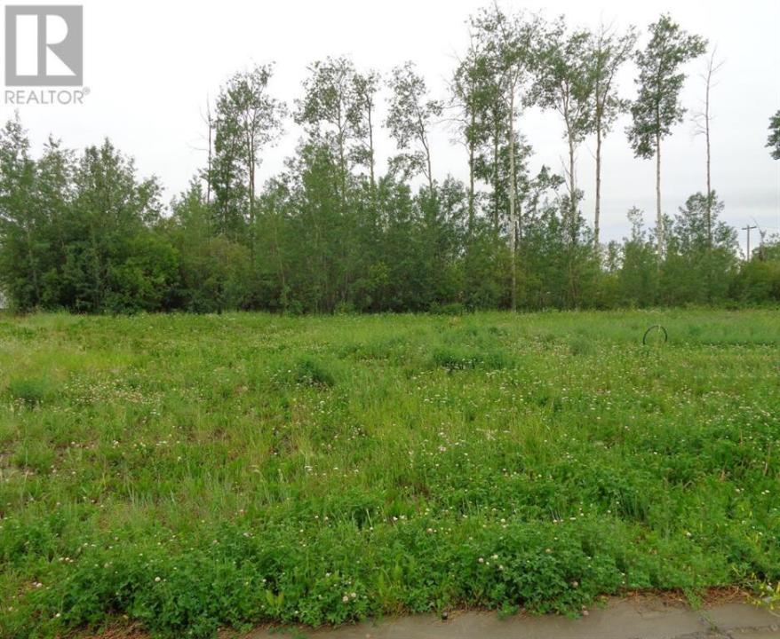 29 CHONKOLAY DRIVE, High Level, Alberta T0H 1Z0, Canada