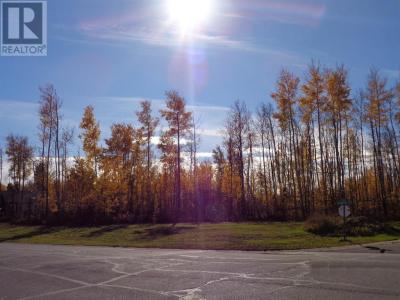 1 BOREAL CRESCENT, High Level, Alberta T0H 1Z0, CANADÁ