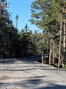 LOT 6 HALLERAN TRAIL, Brigus Junction, Newfoundland and Labrador A0B 1G0, Canada