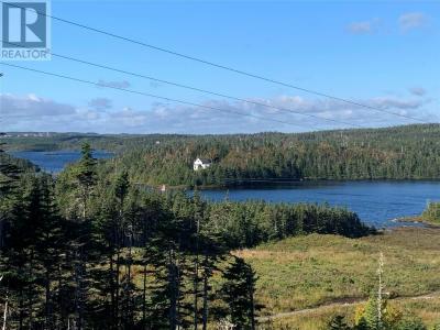 LOT 25 HALLERAN TRAIL, Brigus Junction, Terre-Neuve-et-Labrador A0B 1G0, Canada