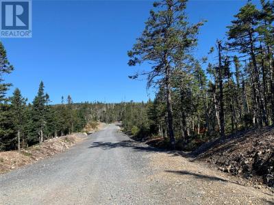 LOT 28 HALLERAN TRAIL, Brigus Junction, Terre-Neuve-et-Labrador A0B 1G0, Canada