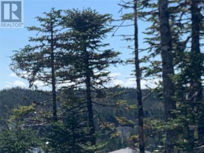 LOT 28 HALLERAN TRAIL, Brigus Junction, Terre-Neuve-et-Labrador A0B 1G0, Canada