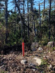 LOT 28 HALLERAN TRAIL, Brigus Junction, Terre-Neuve-et-Labrador A0B 1G0, Canada