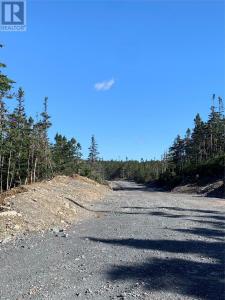 LOT 4 HALLERAN TRAIL, Brigus Junction, 紐芬蘭及拉布拉多省 A0B 1G0, 加拿大