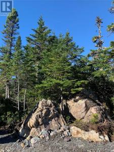 LOT 5 HALLERAN TRAIL, Brigus Junction, Newfoundland and Labrador A0B 1G0, Canada