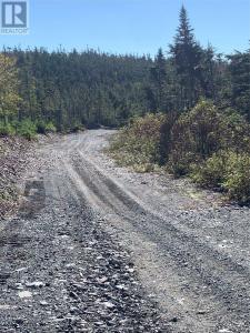 LOT 27 HALLERAN TRAIL, Brigus Junction, 紐芬蘭及拉布拉多省 A0B 1G0, 加拿大