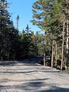 LOT 29 HALLERAN TRAIL, Brigus Junction, Ньюфаундленд И Лабрадор A0B 1G0, Канада