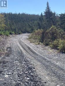LOT 29 HALLERAN TRAIL, Brigus Junction, Ньюфаундленд И Лабрадор A0B 1G0, Канада