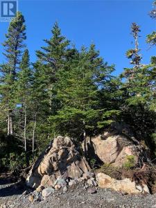 LOT 29 HALLERAN TRAIL, Brigus Junction, Ньюфаундленд И Лабрадор A0B 1G0, Канада