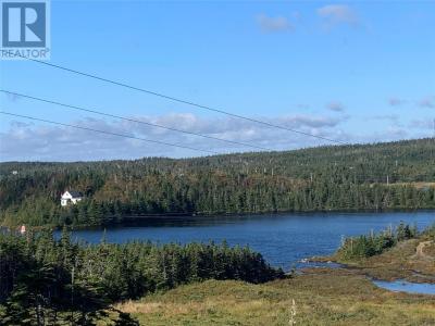 LOT 29 HALLERAN TRAIL, Brigus Junction, Ньюфаундленд И Лабрадор A0B 1G0, Канада